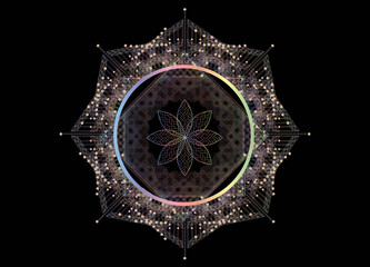 geometrisches transparentes Blüten Ornament auf schwarzen Hintergrund