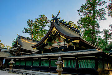 Fototapeta premium chinese temple