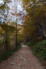 Sunrise seen from the summit of Połonina Wetlińska towards the Bieszczady peaks and the summit of Połonina Caryńska, the Bieszczady forest, the Bieszczady mountains, the Carpathians