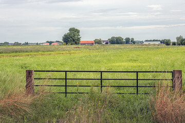 Obraz premium Black painted iron gate between two wooden beams in the foreground of a Dutch nature reserve with mainly grass and other wild plants. Farms are visible in the background.