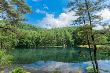 夏の御射鹿池。日本の長野県の観光名所。