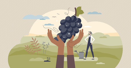 Harvesting season scene with farmer and organic fruits tiny person concept. Autumn plant collecting process with raw grapes vector illustration. Plantation and cultivation with local land and vineyard - obrazy, fototapety, plakaty