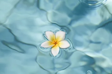 Kissenbezug Summer, relax and spa concept . Minimal nature background. frangipani flower in blue water in pool.  © Анна Мартьянова