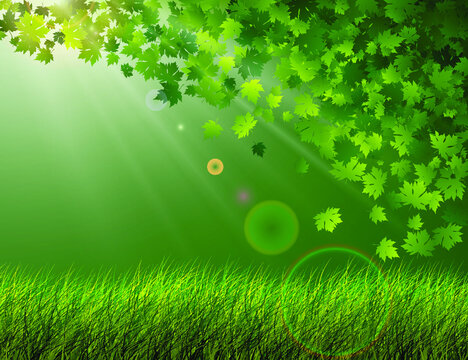 Background for a presentation on ecology. Landscape grass wind and leaves. Abstract vector illustration of grass on a green background and flying leaves in the rays of light.
