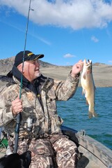 Naklejka premium Angler with a Colorado cutthroat trout 