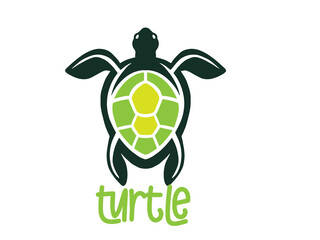 Turtle logo graphic design concept. Editable sea turtle element, can be used as logotype, icon, template in web and print