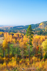 Autumn landscape view at a rolling woodland
