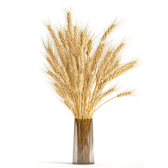 Fototapeta premium decorative bouquet of dry wheat in a glass vase on a white background