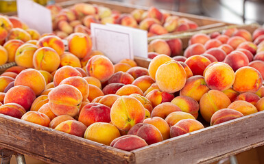 Fresh yellow and white peaches at an outdoor market