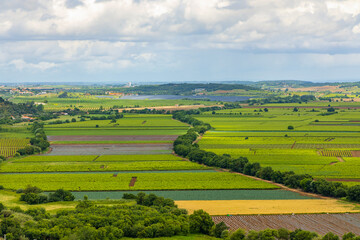 Fototapeta na wymiar Agricultural fields landscape with dramatic sky.