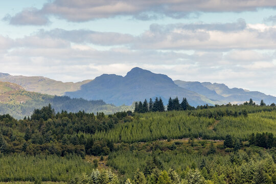 Peaton Hill Conservation Reserve, Scotland