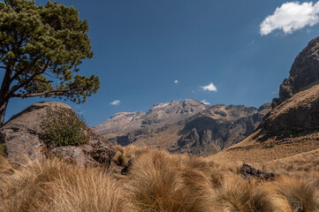 Landscape of a mountain with a tree en the foreground