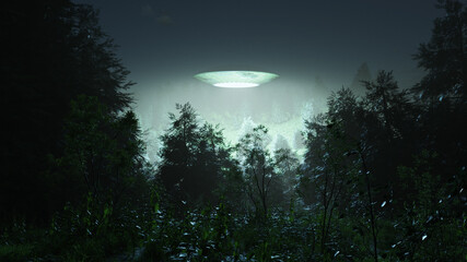 UFO Sighting