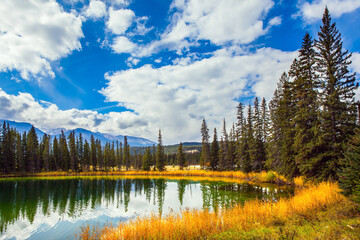 Jasper in Indian summer