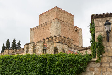 Fototapeta na wymiar View at the Enrique II Castle, Parador de Ciudad Rodrigo, pedestrian path inside the medieval fortress