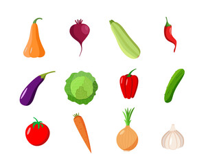 A set of different vegetables. Vector illustration of seasonal autumn harvest.