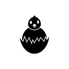 Chick hatch icon design template vector isolated