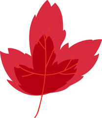 Fototapeta premium Tree dried red leaf environment nature vector