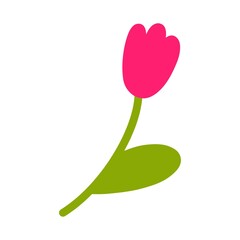 Vector illustration of a bright pink tulip on a white background. Cute flower on a stem in flat style for greeting card, print, design.