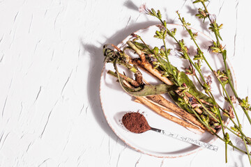 Fresh flowers, roots and powder of chicory on a ceramic stand - obrazy, fototapety, plakaty