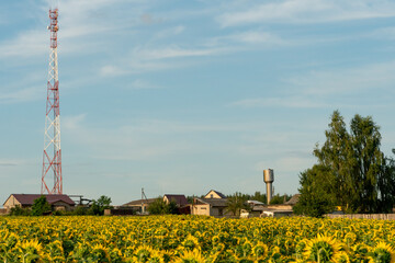 A modern 5g cellular communication tower installed next to an agricultural field for growing sunflower. The threat of poisoning people and the death of crops. Harm from electromagnetic radiation - Powered by Adobe