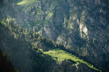 View of mountains, Dombay, Caucasus Mountains