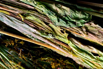 dried horseradish leaves and dill