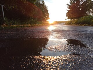 Road between forest during sunset