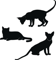Black cats modern abstract illustration