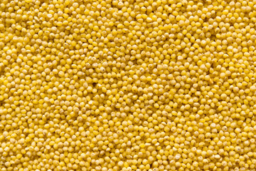 Yellow millet background. Top view 