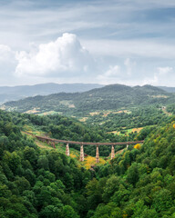 Old railway bridge in lush summer forest in Carpathians mountains