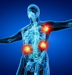 3d render blue lymphatic system - right  front view