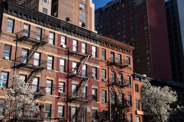 Colorful Old Brick Apartment Buildings with Fire Escapes and a Flowering Tree during the Spring in...