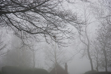 Haunted house in fog, witchy and scary, romantic and dark, Halloween and goth feel.