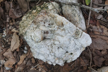 white quartz ore stone on nature background.