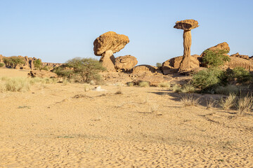 Fototapeta na wymiar Giant petrified prehistoric Mushrooms, Chad, Africa