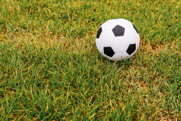 Ball on a green grass