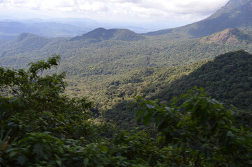 landscape with trees and clouds
