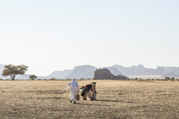 Nomad with camels in the Sahara desert, Chad, Africa
