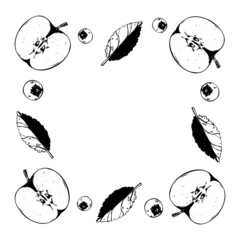 Vector hand drawn frame with apples, leaves and berries. 