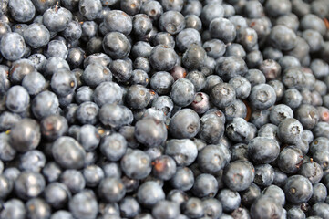Fresh blueberries. Background of blueberry berries close up