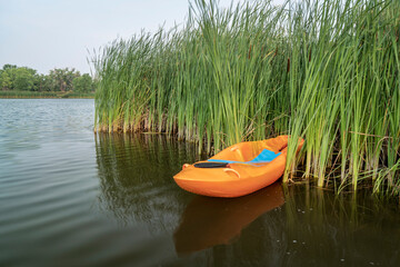 prone kayak in reeds at lake shore in Colorado, water recreation concept