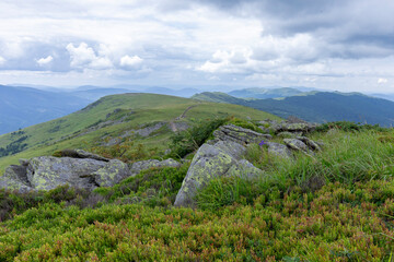 Verkhovyna Watershed Range, Pikui Mountain. Carpathian mountains with grassy slopes and rocks on Pikuy mount. Beautiful mountain landscape in summer