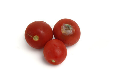 tomatoes spoiled on a white background, isolated,