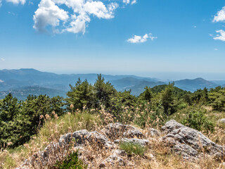 Fototapeta na wymiar Paysage de montagne dans le Sud des Alpes et du Mercantour
