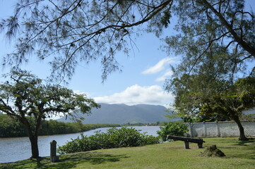 landscape with trees