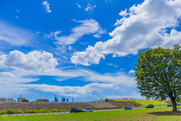 青空の下の公園