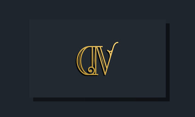 Minimal Inline style Initial DV logo.