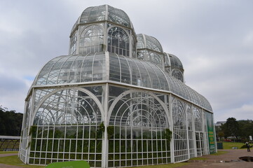 Fototapeta na wymiar greenhouse in a greenhouse
