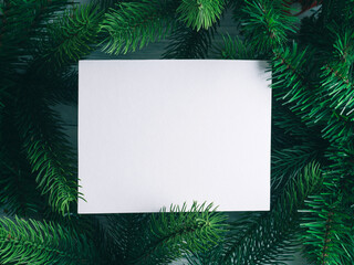 Fototapeta na wymiar Christmas new year background with white empty card for text in green fir tree branches frame